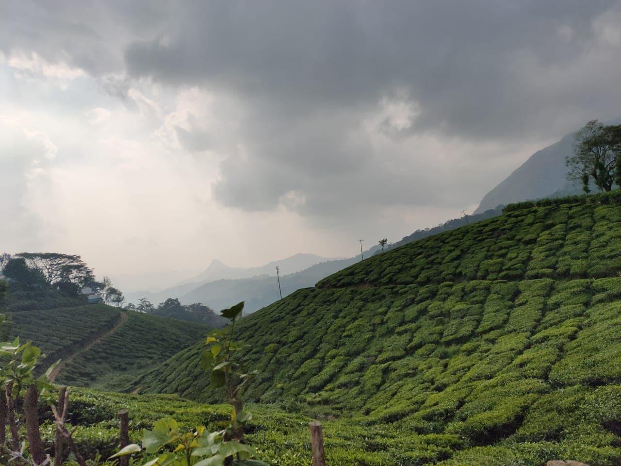 My trip to Kerala