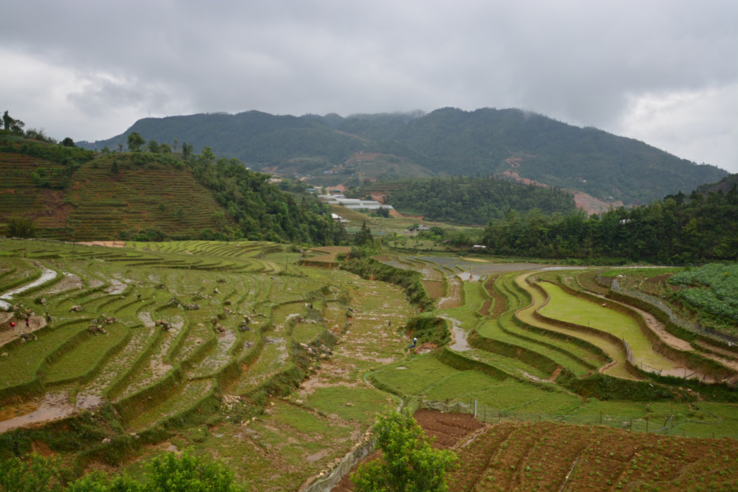 Immerse in the tranquil and rustic charm of Sapa