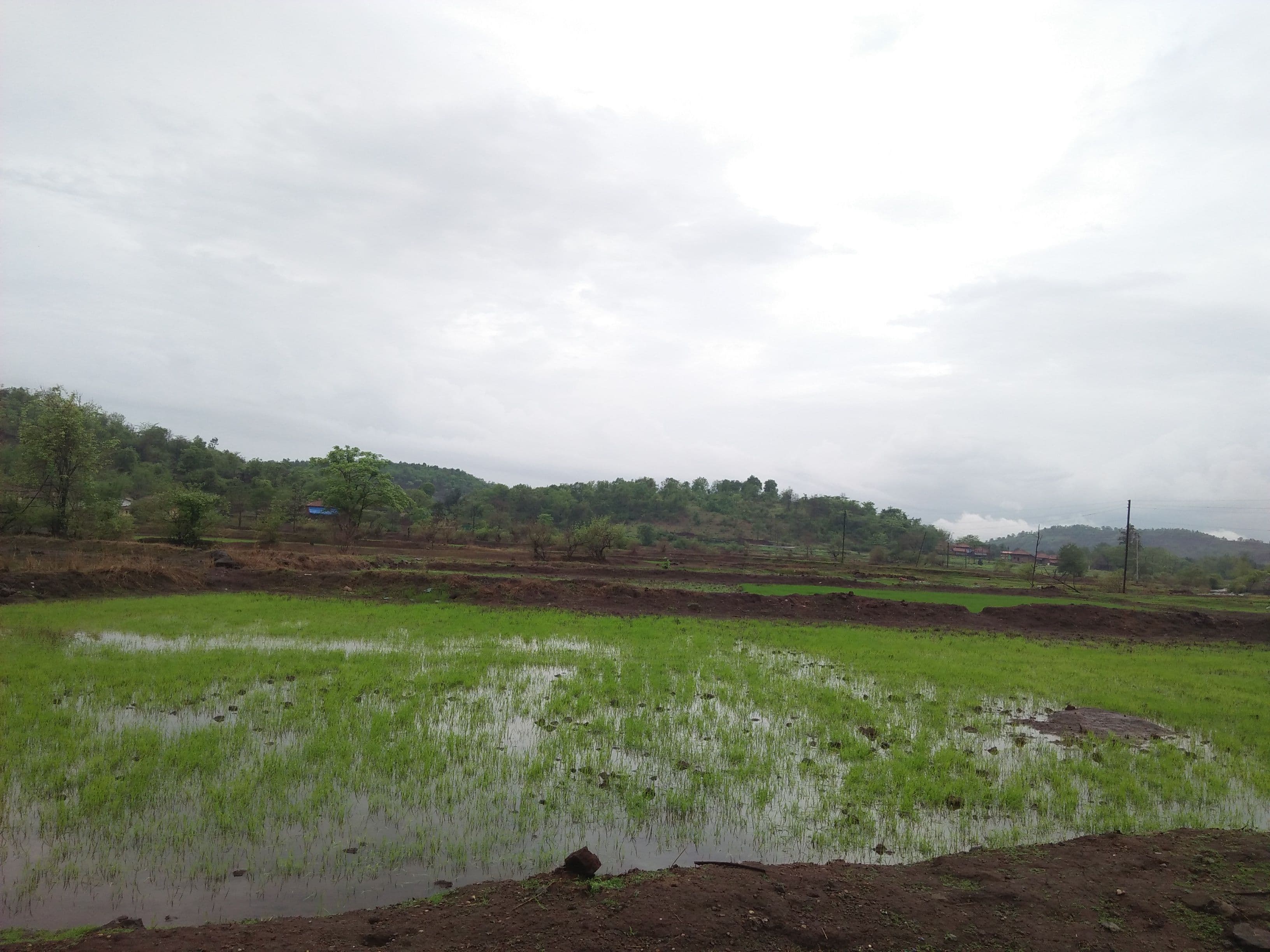 Meet with the local teenagers of this beautiful village Dehene 