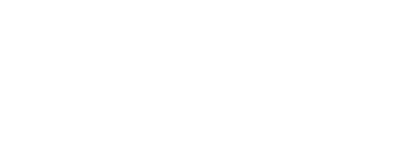 thelocalfeet logo